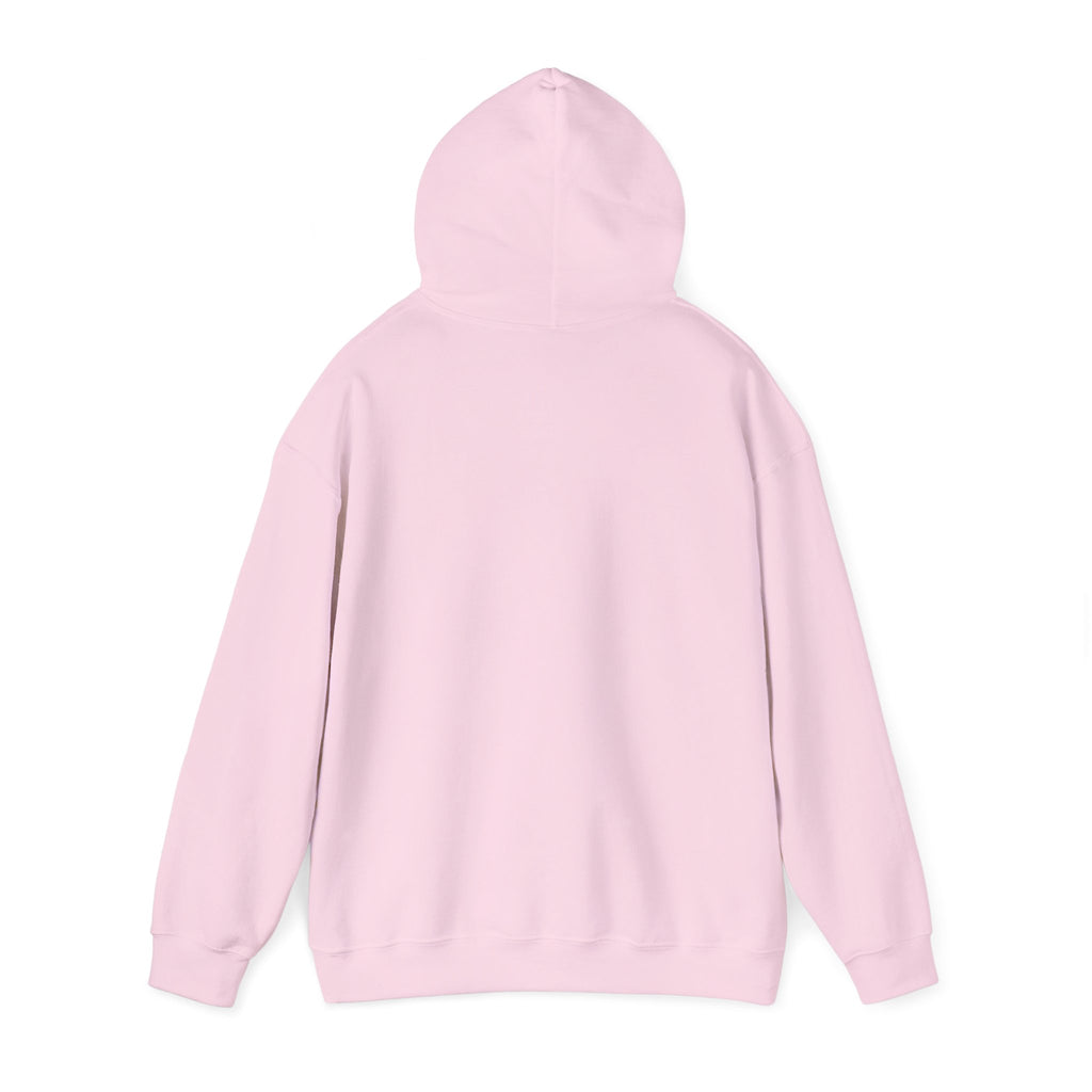 Roatan Colorblock Hoodie — Tropical Island Travel Sweatshirt