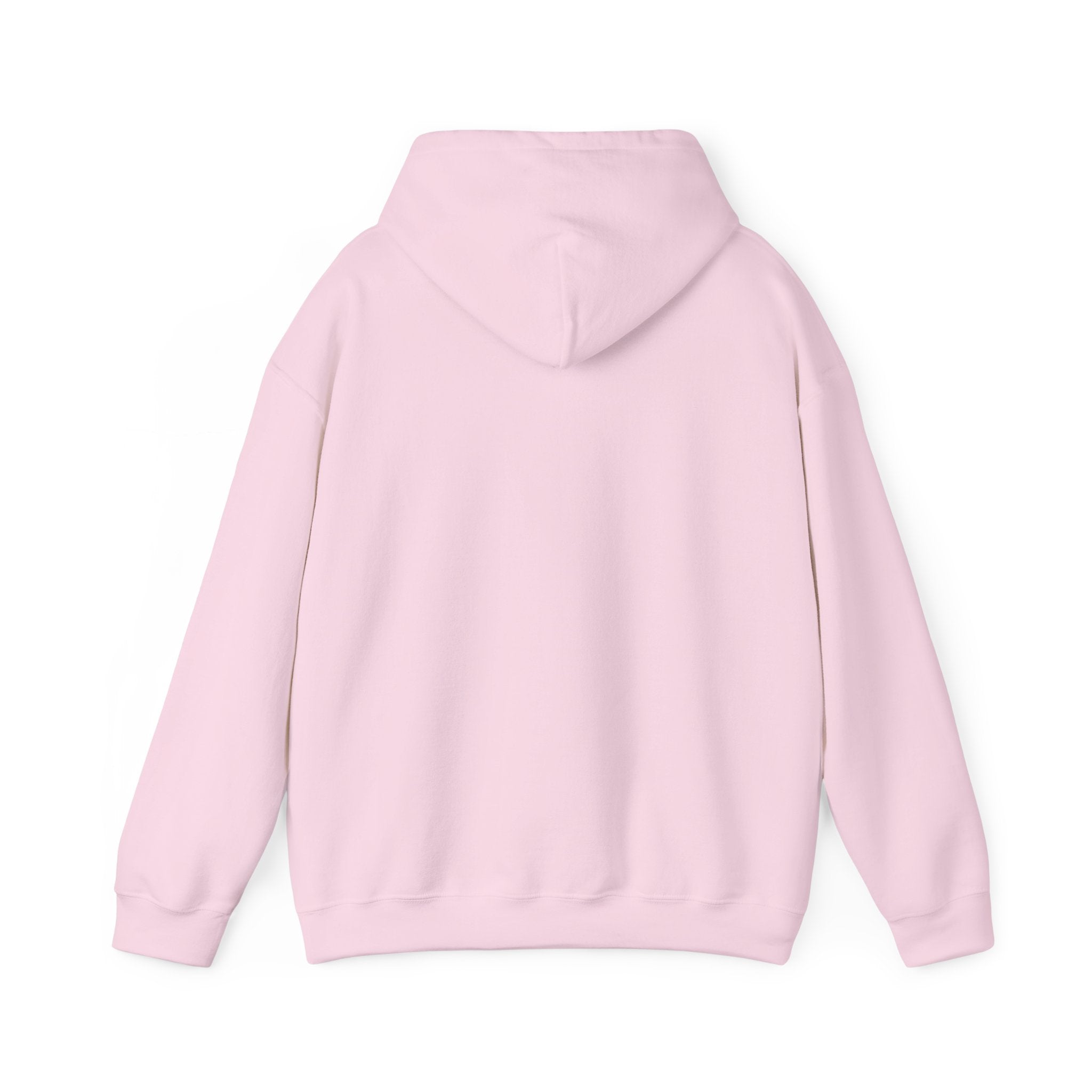 Roatan Colorblock Hoodie — Tropical Island Travel Sweatshirt