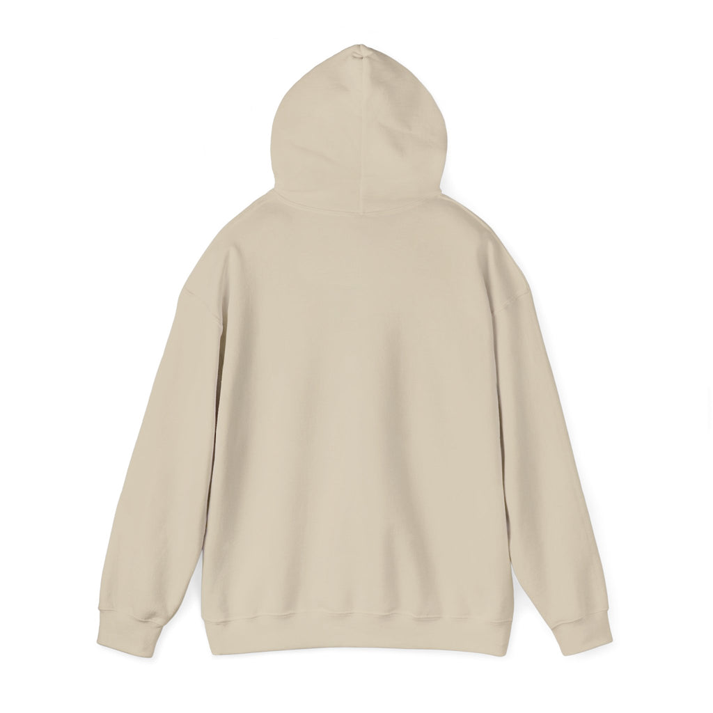 Roatan Colorblock Hoodie — Tropical Island Travel Sweatshirt