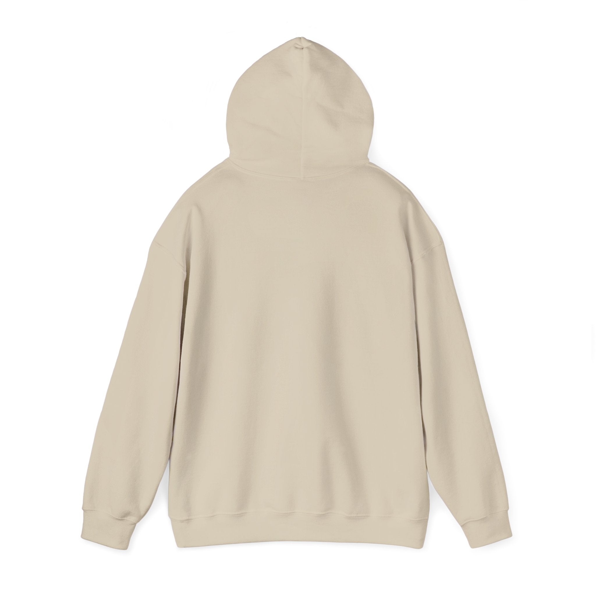 Roatan Colorblock Hoodie — Tropical Island Travel Sweatshirt