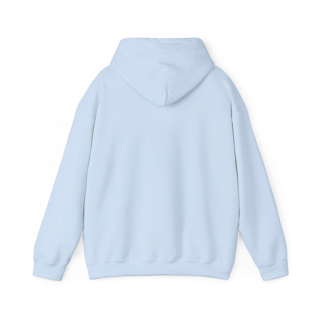 Roatan Colorblock Hoodie — Tropical Island Travel Sweatshirt