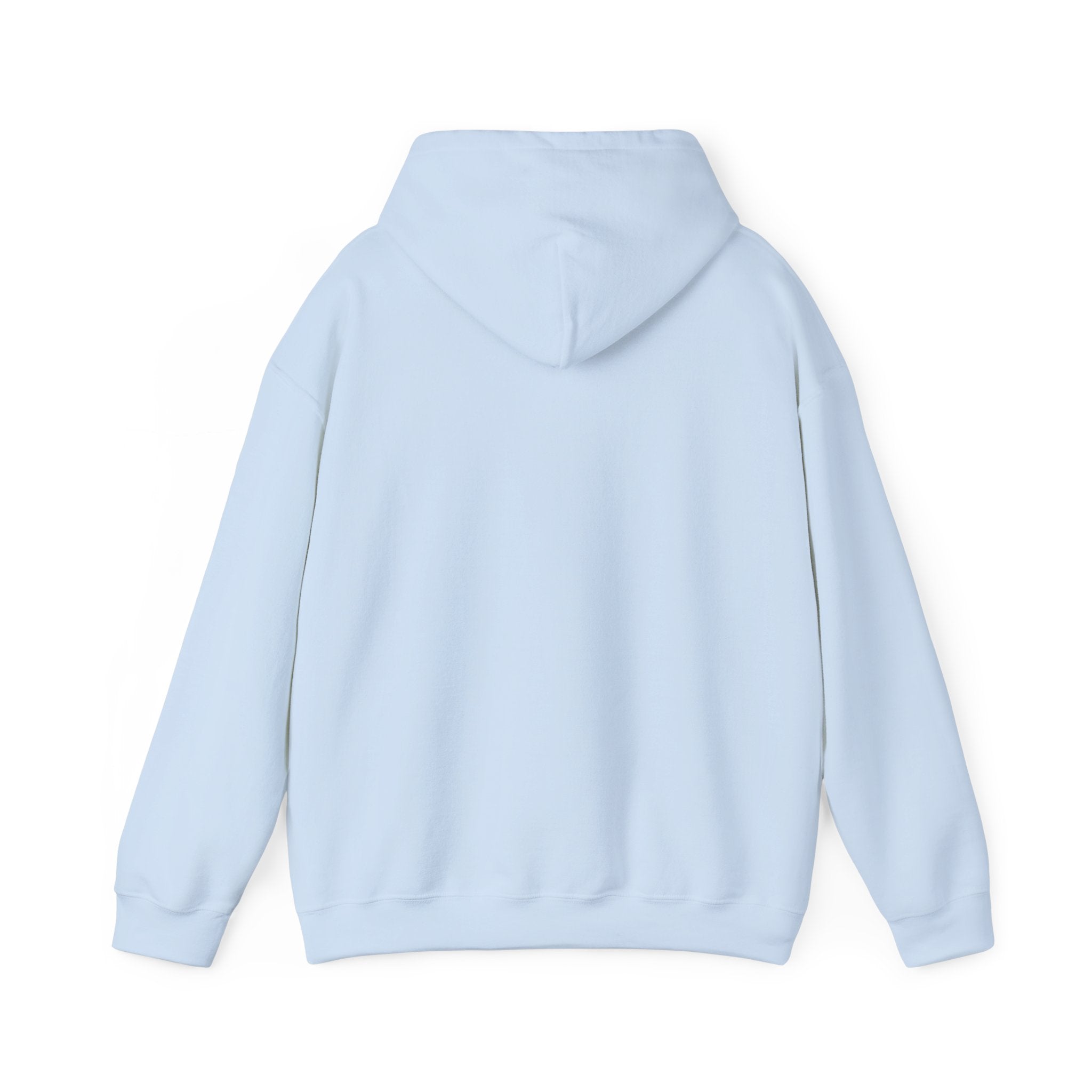 Roatan Colorblock Hoodie — Tropical Island Travel Sweatshirt