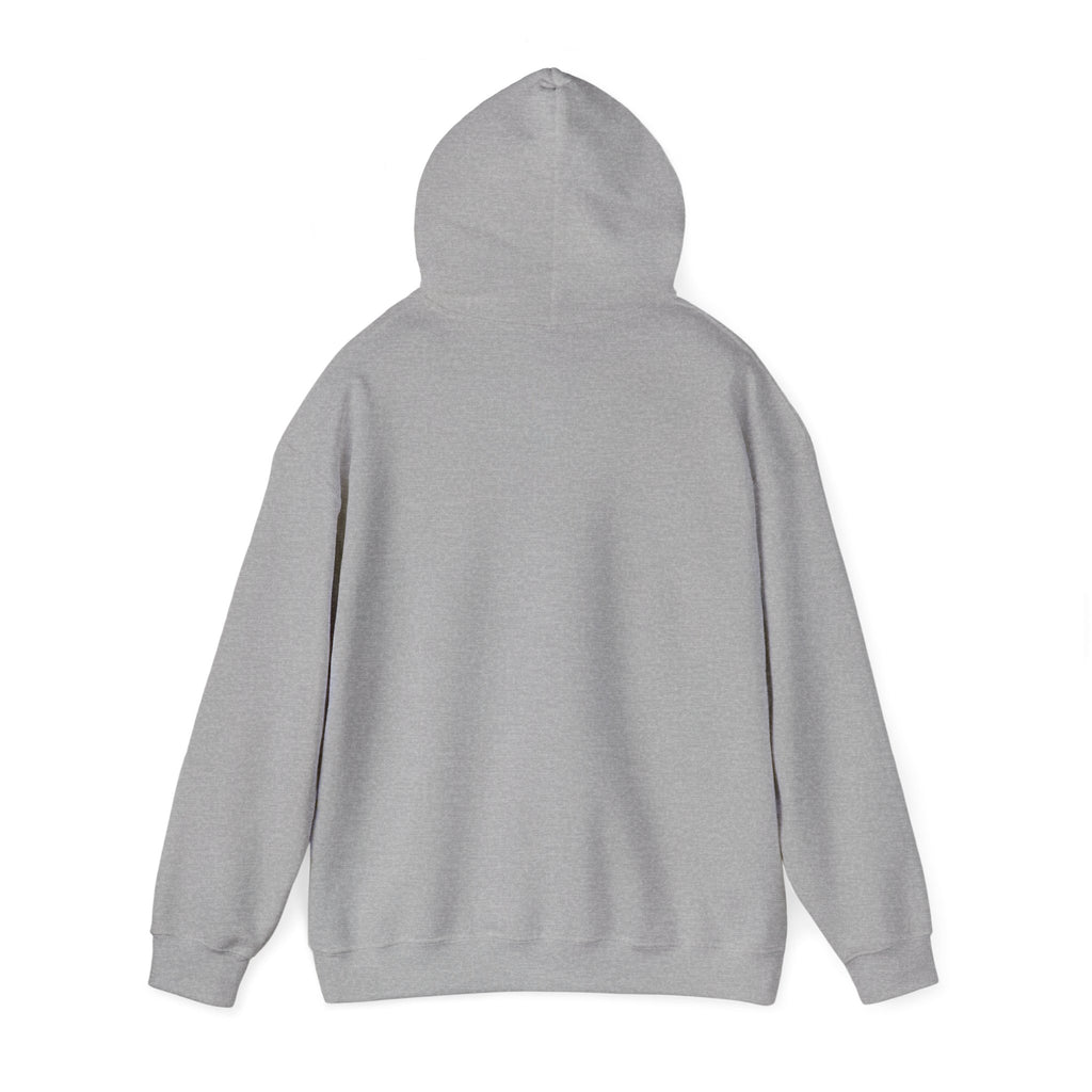 Roatan Colorblock Hoodie — Tropical Island Travel Sweatshirt