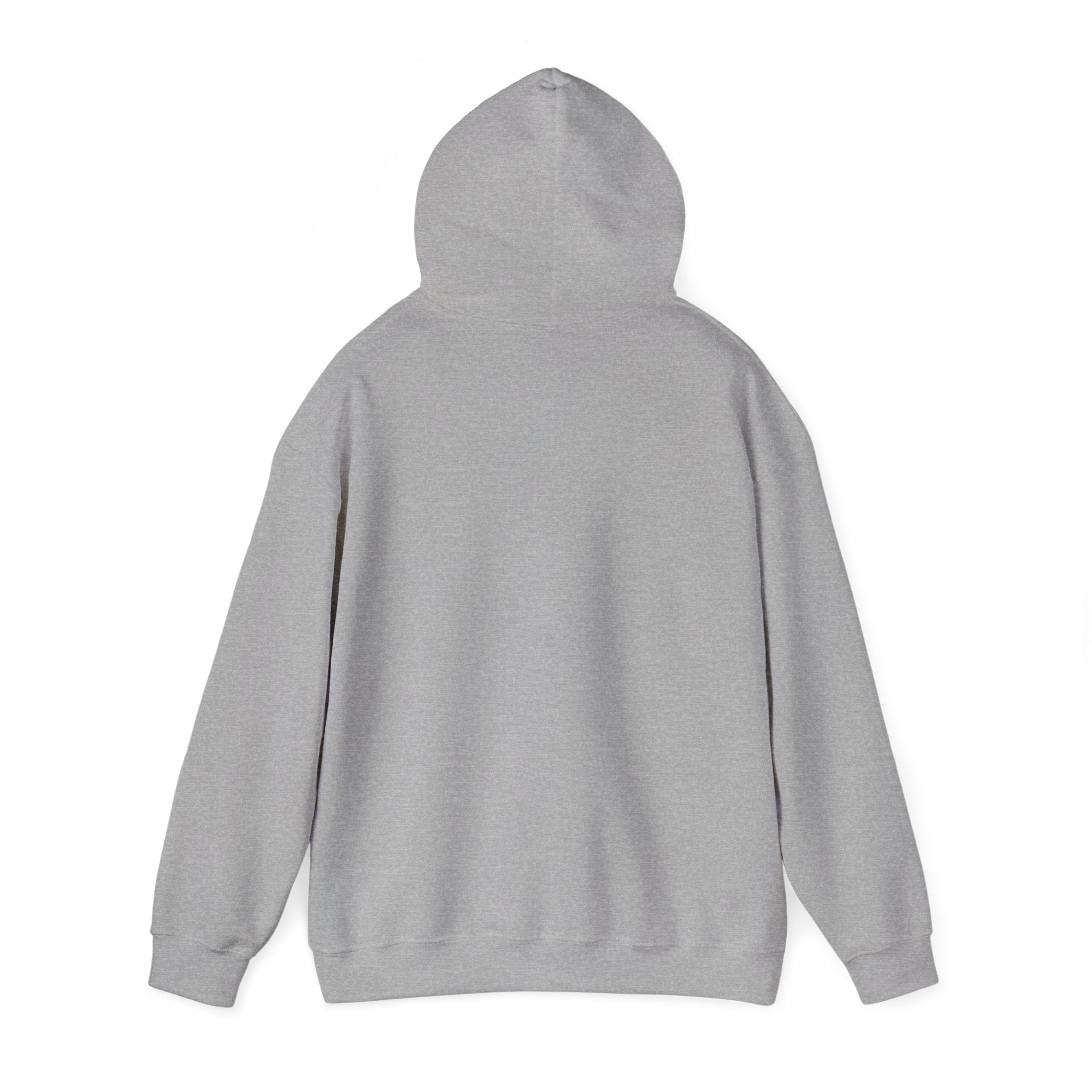 Roatan Colorblock Hoodie — Tropical Island Travel Sweatshirt