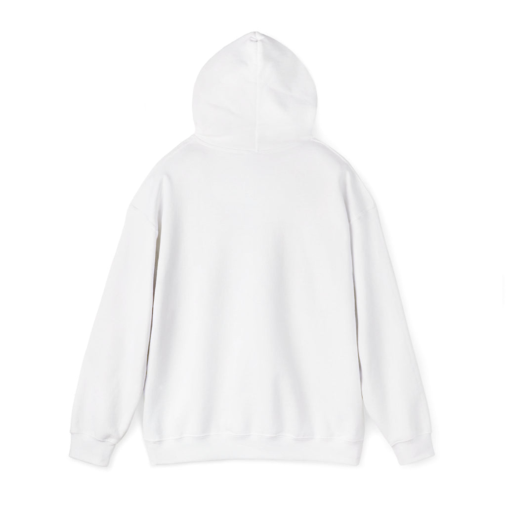 Roatan Colorblock Hoodie — Tropical Island Travel Sweatshirt