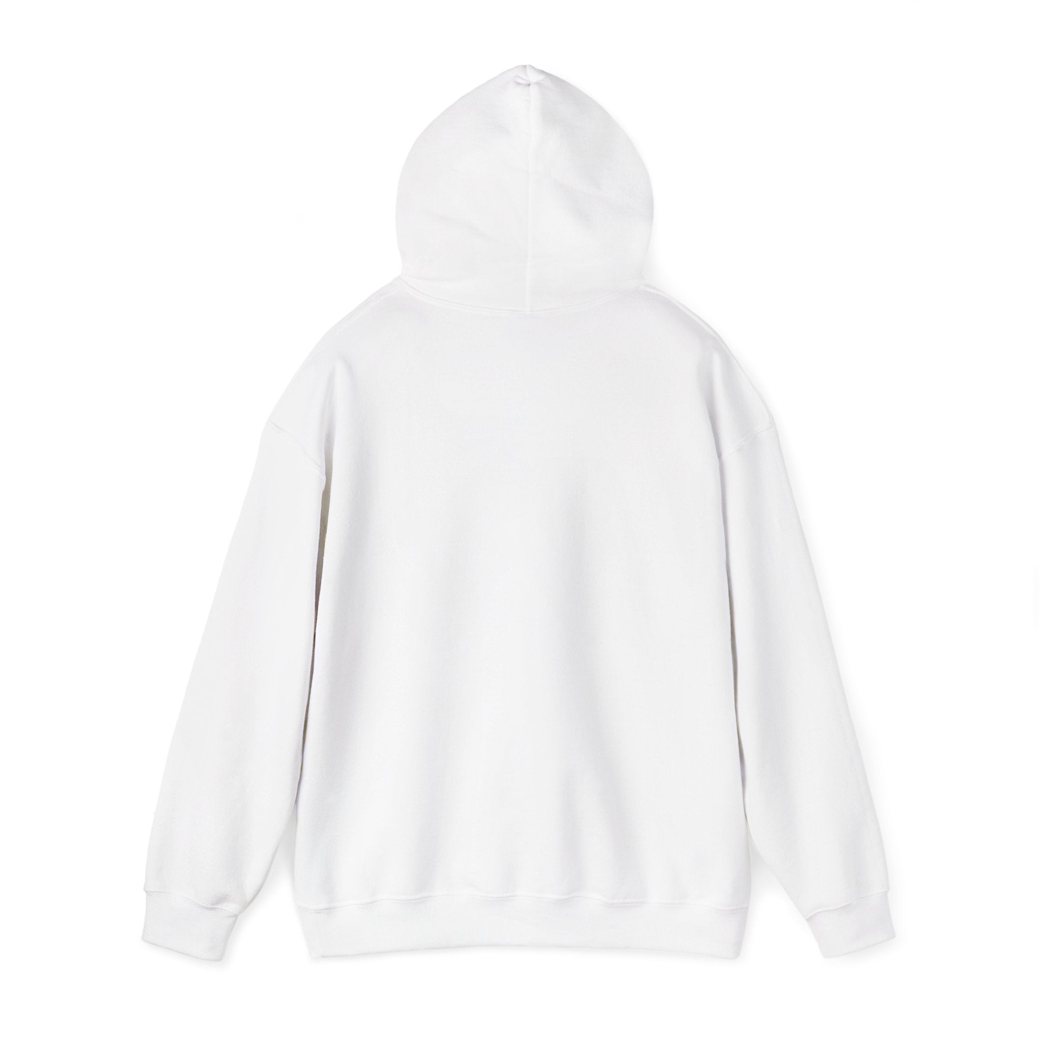 Roatan Colorblock Hoodie — Tropical Island Travel Sweatshirt