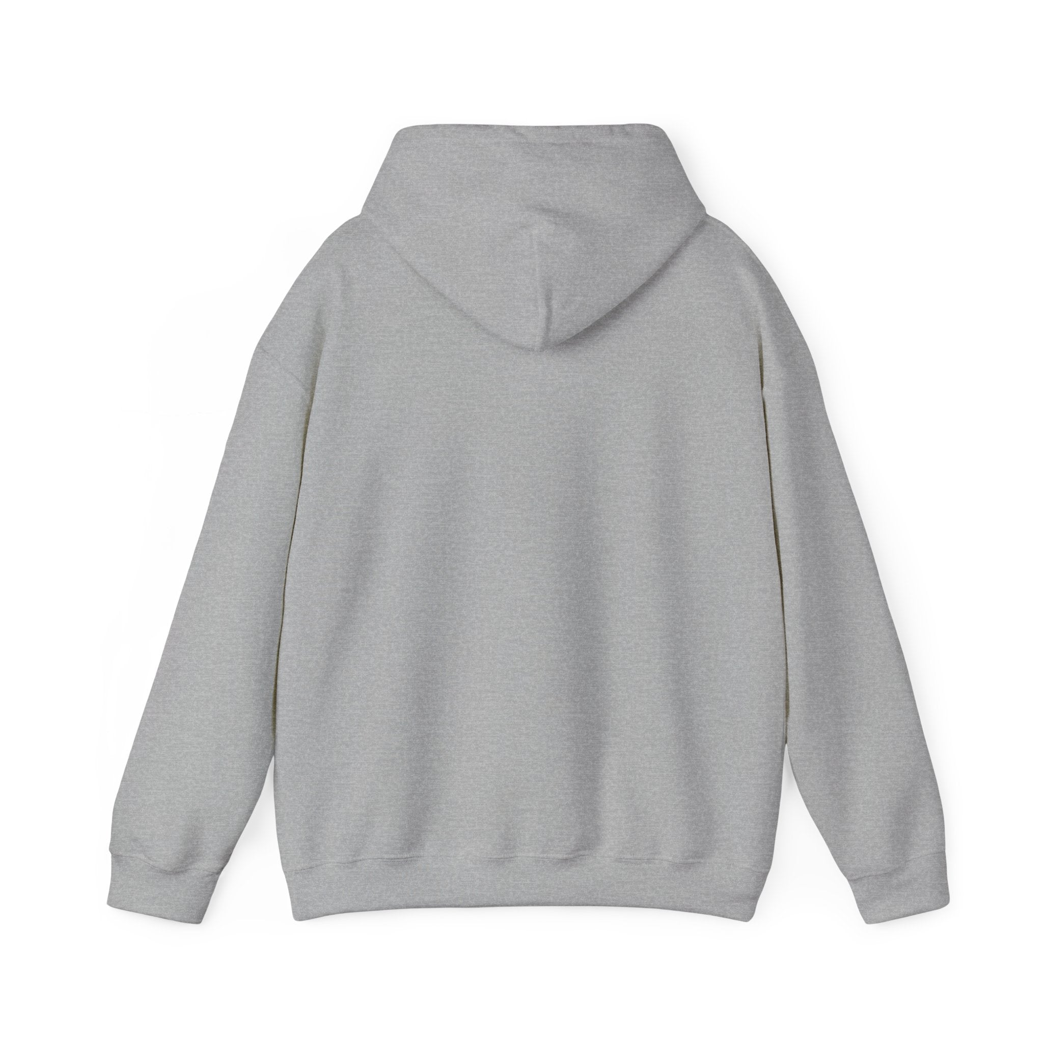 Roatan Colorblock Hoodie — Tropical Island Travel Sweatshirt