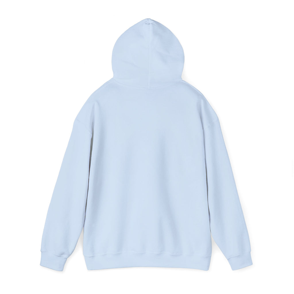 Roatan Colorblock Hoodie — Tropical Island Travel Sweatshirt