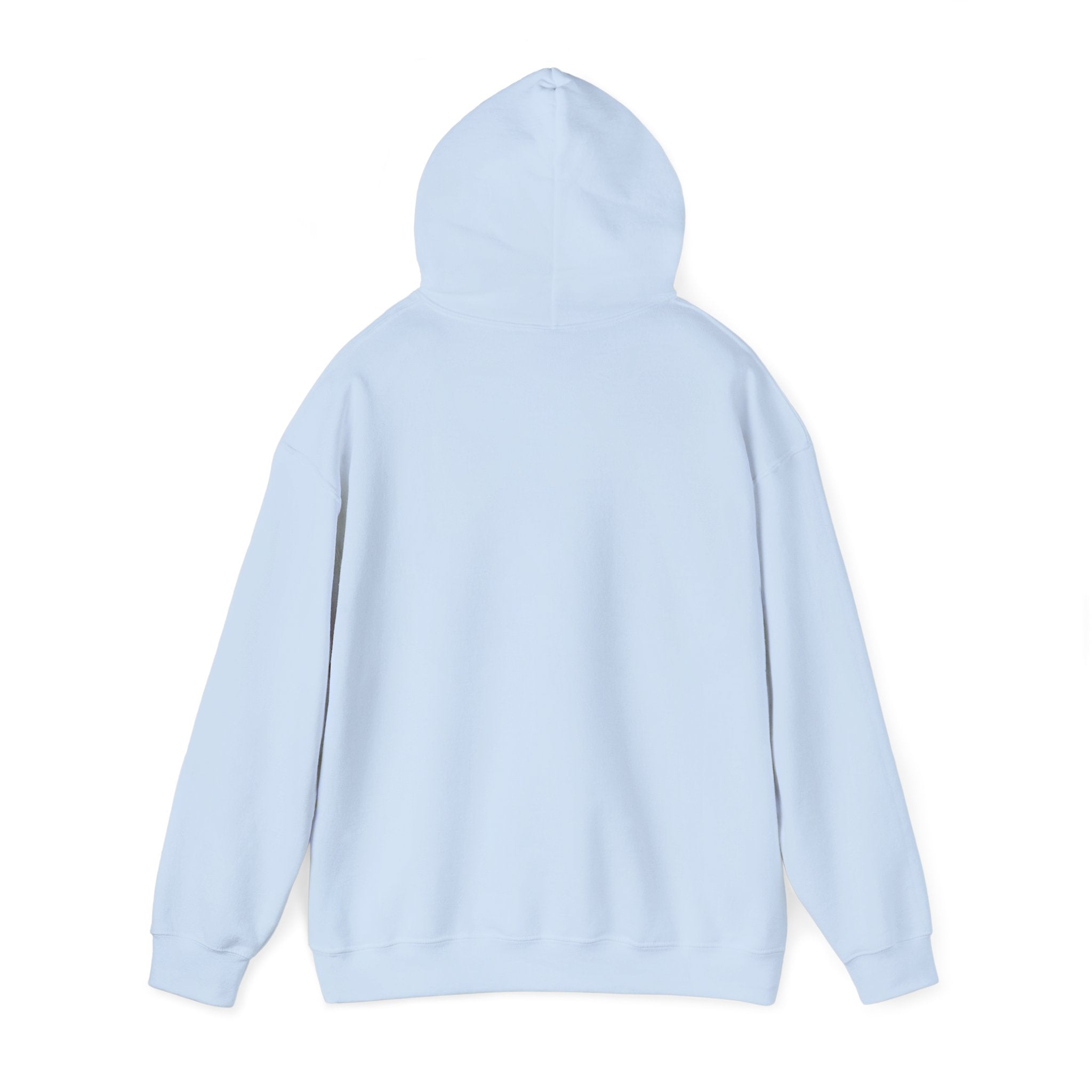 Roatan Colorblock Hoodie — Tropical Island Travel Sweatshirt