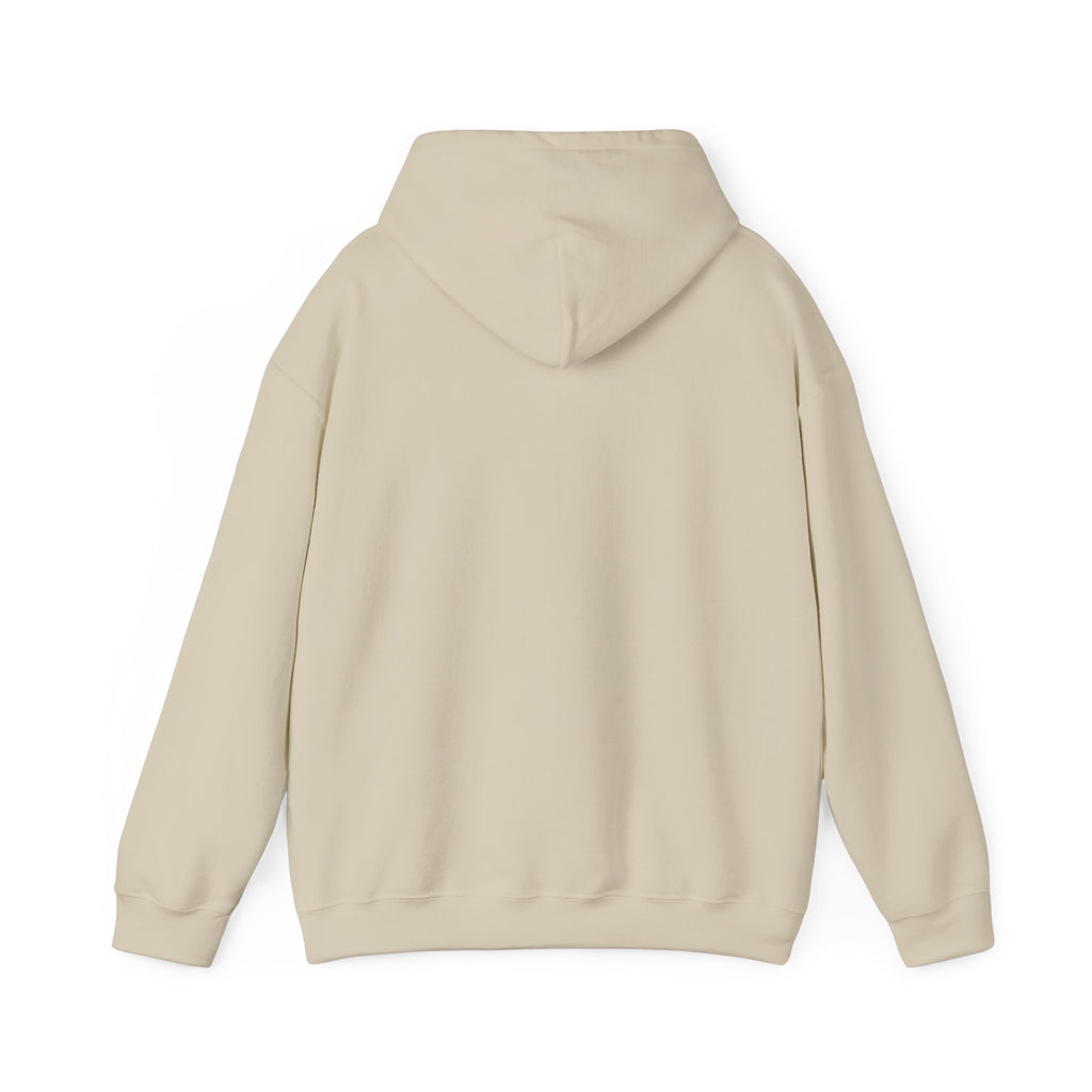 Roatan Colorblock Hoodie — Tropical Island Travel Sweatshirt