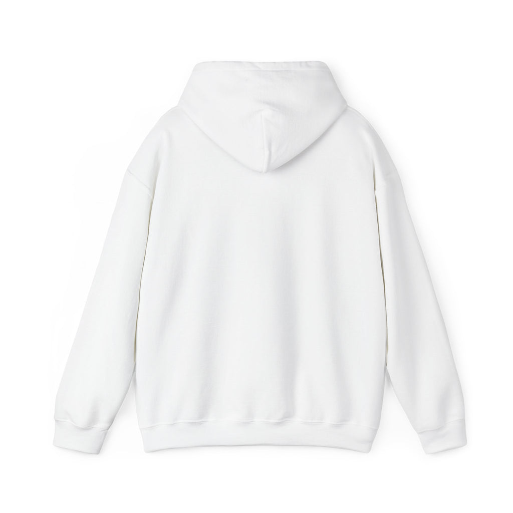 Roatan Colorblock Hoodie — Tropical Island Travel Sweatshirt