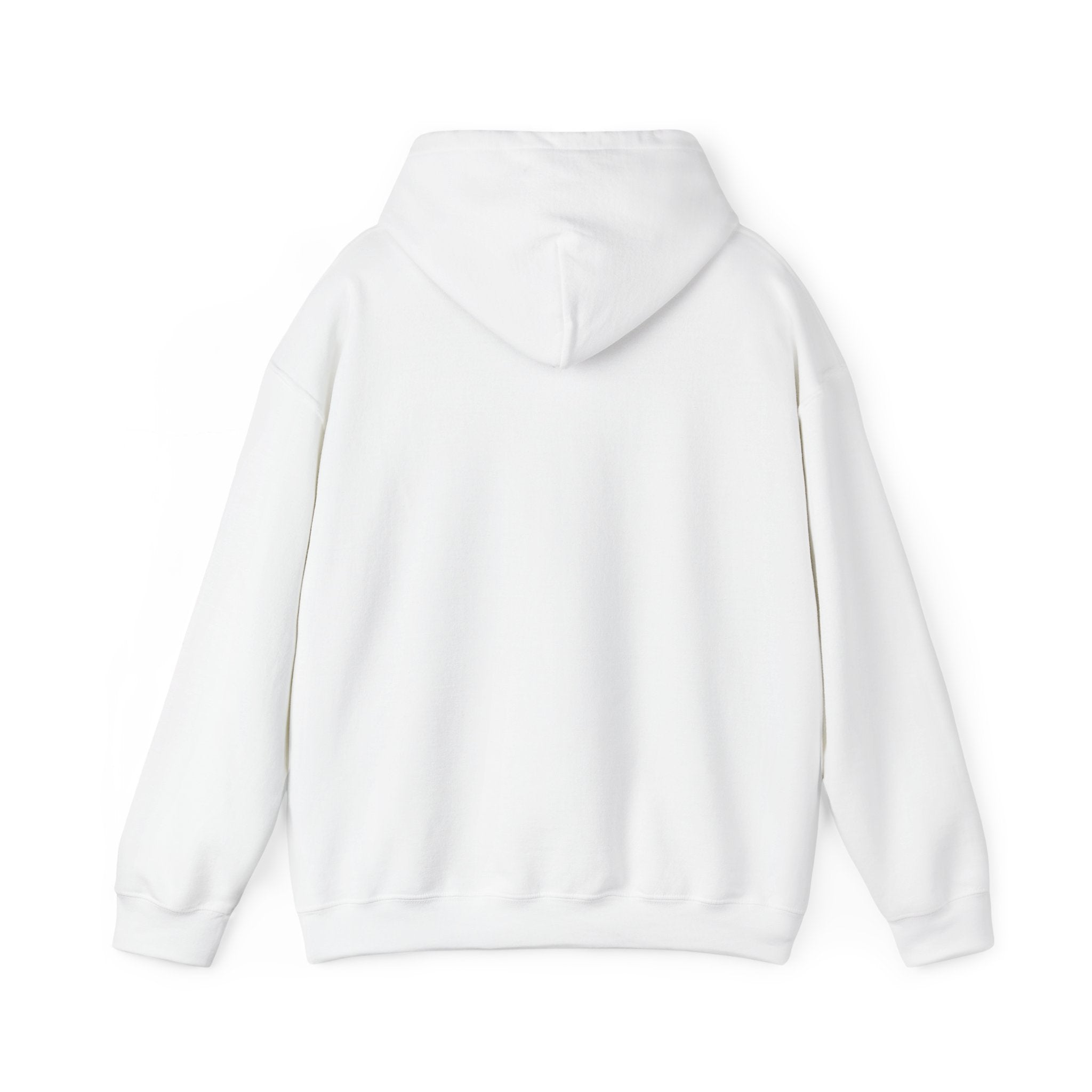 Roatan Colorblock Hoodie — Tropical Island Travel Sweatshirt